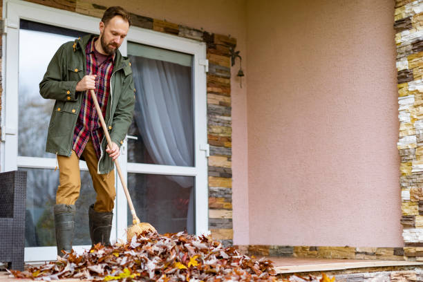 Best Trash Removal Near Me  in Spring Hill, KS